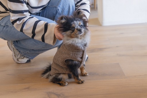 Image du produit Designed by Lotte Pull pour chien Madeleine (S, Pull-over pour chien)