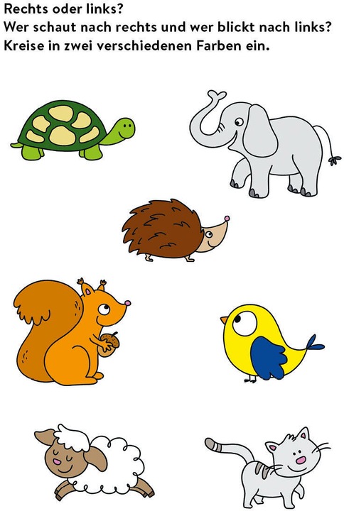 Actual product image Mein bunter Lernspielblock – Kindergarten: Erkennen, Verbinden, Fehler finden (German, Sandy Thissen, 2022)