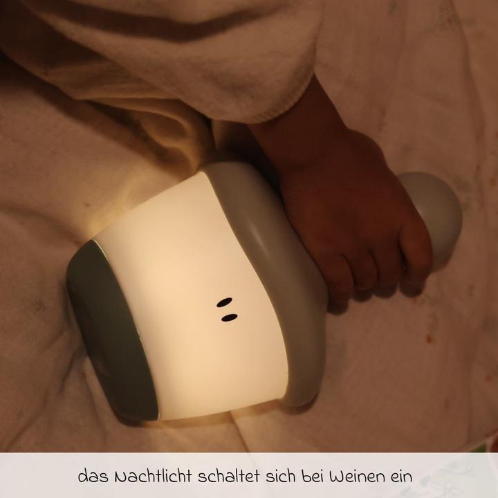 Image du produit Beaba Pixie Stock