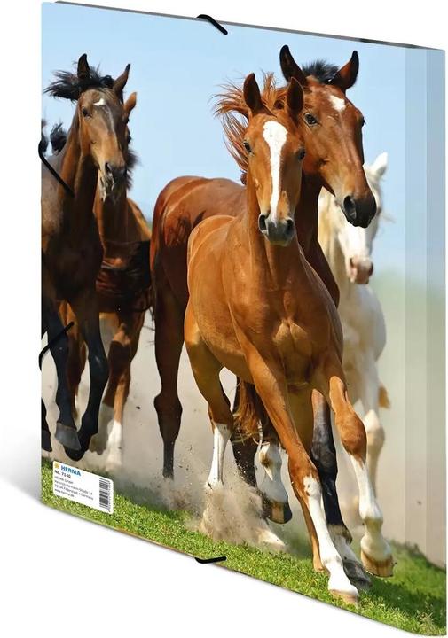 Produktbild HERMA Sammelmappe A4 Motiv (A4, 1x)