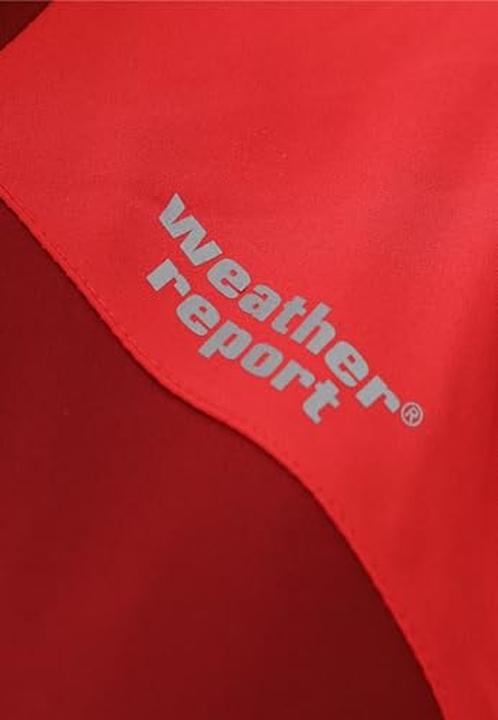 Actual product image Weather Report Camelia (38)