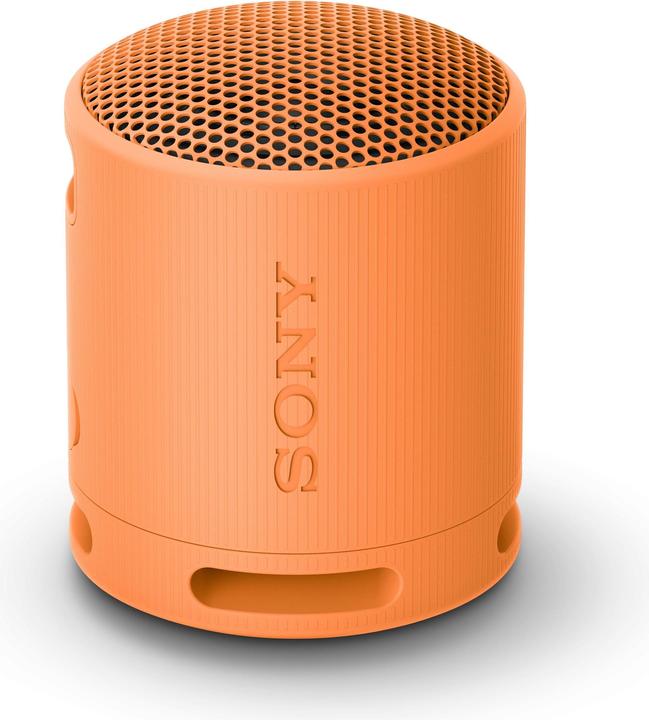 Sony SRS-XB100 (16 h, Fonctionnement sur batterie)