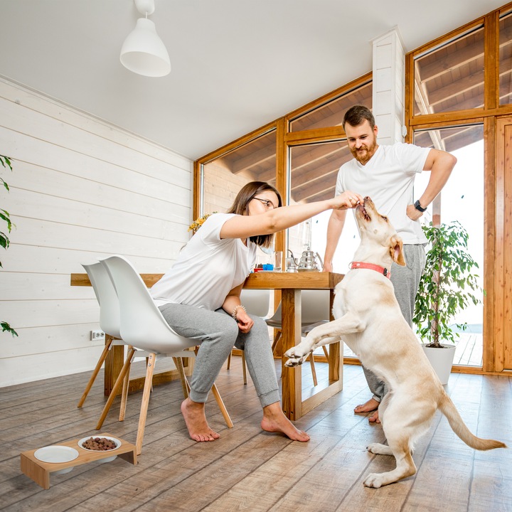 Produktbild Relaxdays Hunde-Futterstation (0.27 l)
