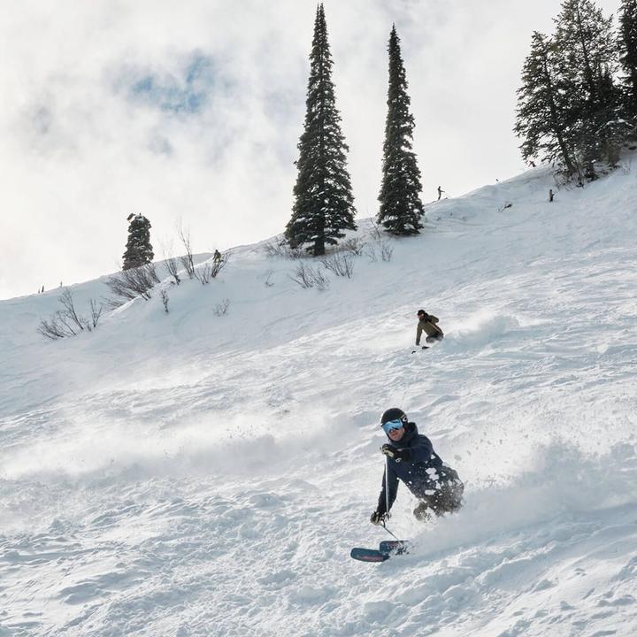 Actual product image Elan Ripstick (156 cm, Without binding)