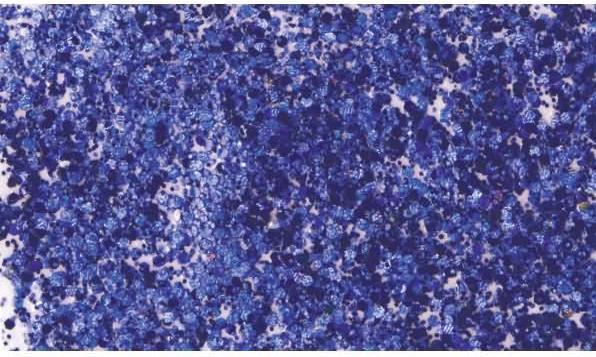 Produktbild Knorr Prandell Glitter Flaky Glue, 50ml (Dunkelblau, 50 ml)