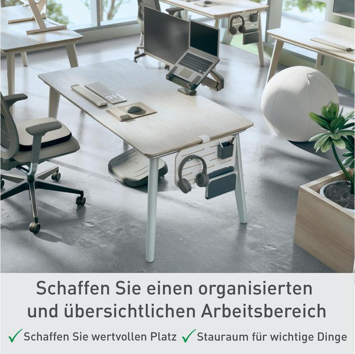 Actual product image Leitz Schreibtischorganizer Ergo