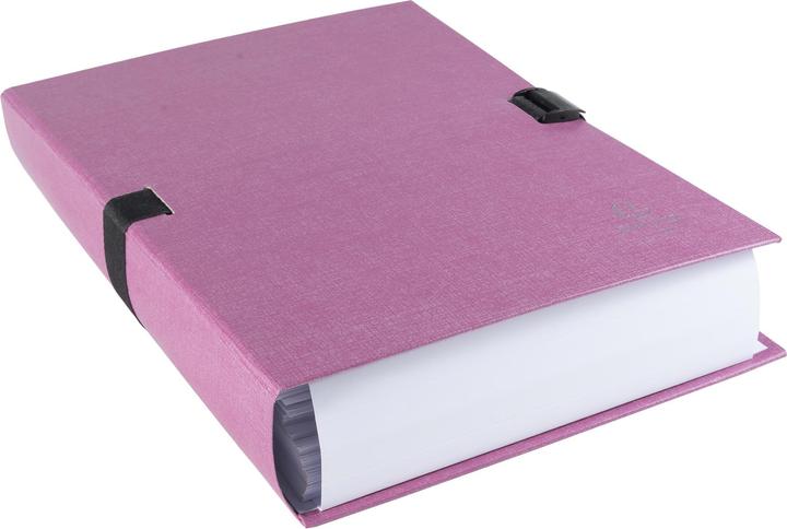 Actual product image Exacompta Folders with stretchable spine (A4, 250 x)