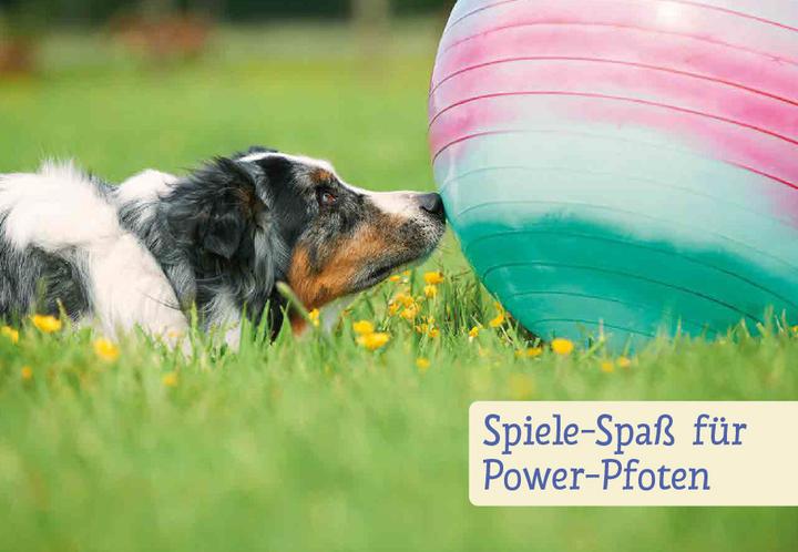 Produktbild Spiele und Action für ausgeglichene Hütehunde (Deutsch, Marion Albers, 2023)