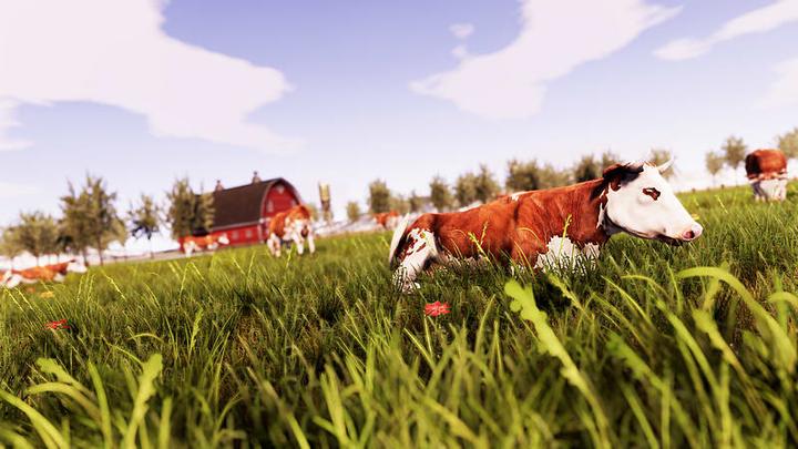 Produktbild Bandai Namco Real Farm Sim, PS4 (PS4)