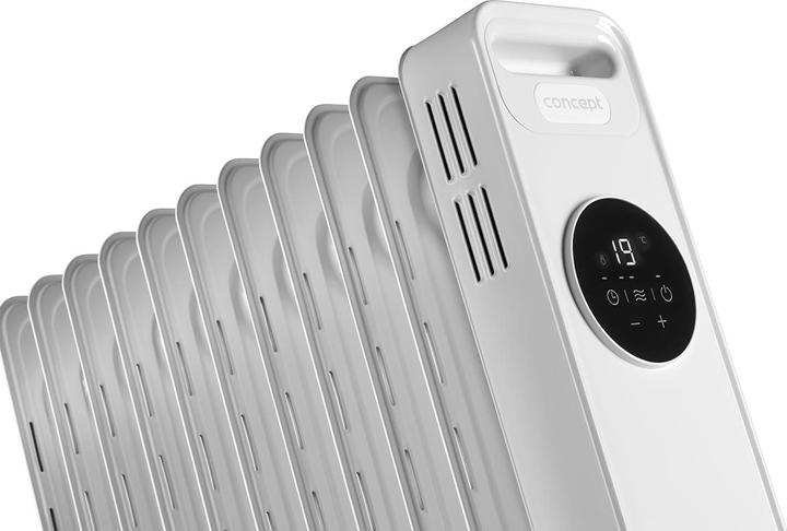 Actual product image Concept RO3411 (2300 W)