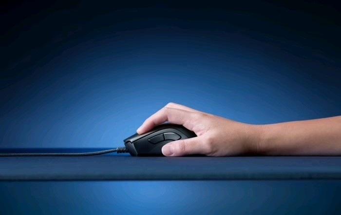Image du produit Razer DeathAdder V2 (Filaire)