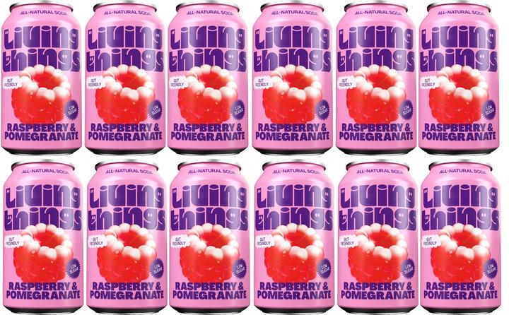 Immagine prodotto Living Things Lampone e melograno (12 x 33 cl)