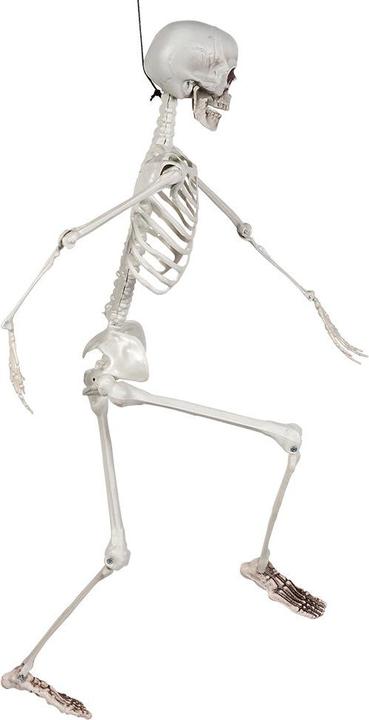 Image du produit Boland Squelette : Pedro (1 pièce(s))