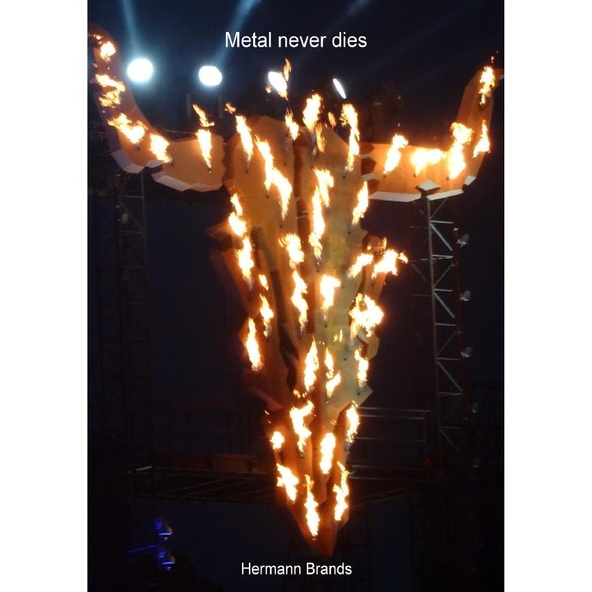 Metal never dies, Belletristik von Hermann Brands