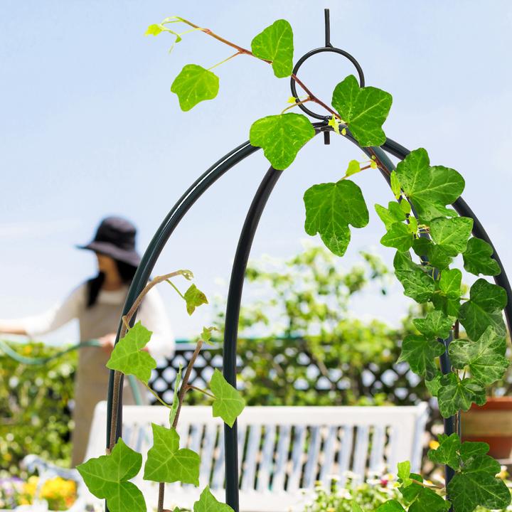 Actual product image Relaxdays Rankobelisk (40 cm, 40 cm)