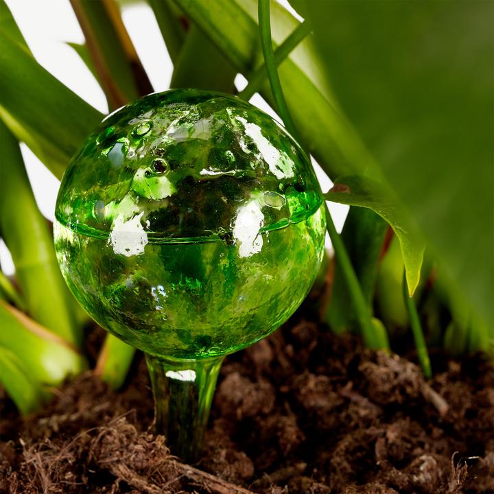 Actual product image Relaxdays Watering Globes Set of 2 (Irrigation balls)