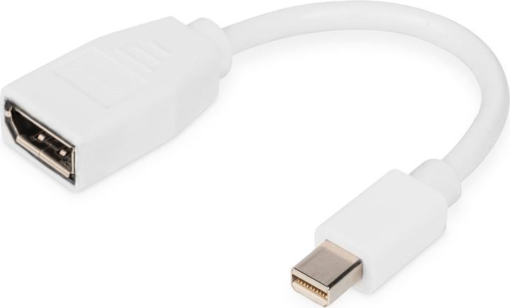 Produktbild Digitus Mini DisplayPort — DisplayPort (Mini DP, 15 cm)