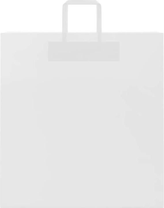 Image du produit vidaXL Papiertragetasche (250x)