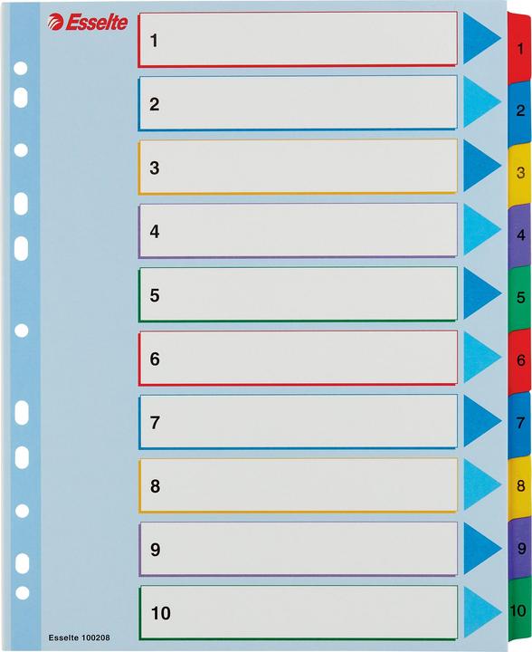 Image du produit Esselte - diviseur - 10 pièces - pour A4 Maxi - onglet (pack de 10)