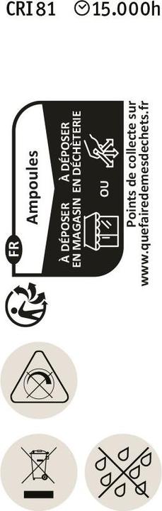 Image du produit Paulmann Socle à broches (GY6.35, 3.50 W, 300 lm, 1 x, G)