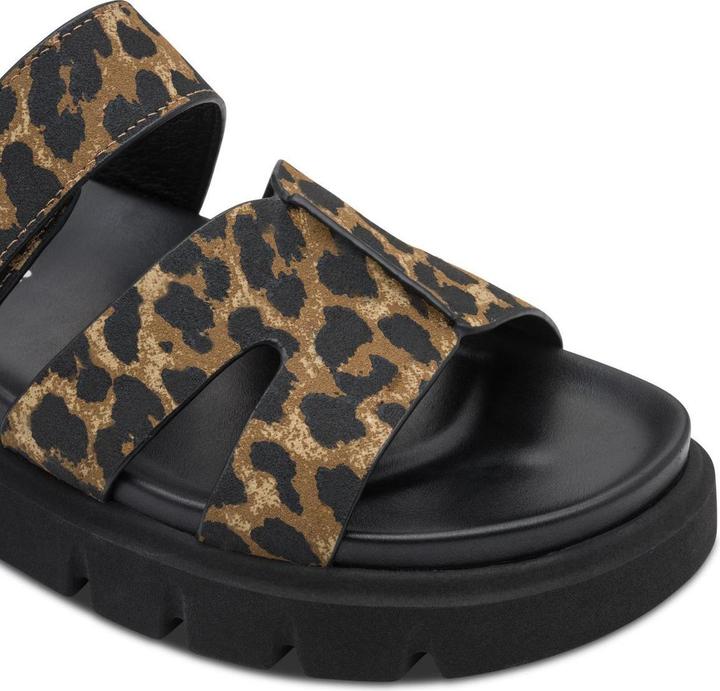 Leopard, Marrone