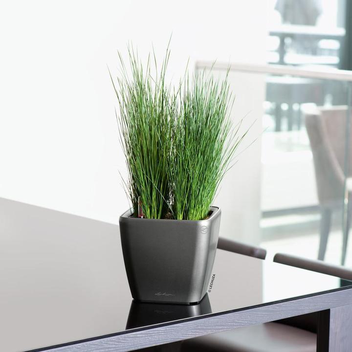 Produktbild Lechuza Quadro LS 21 (22.50 cm)