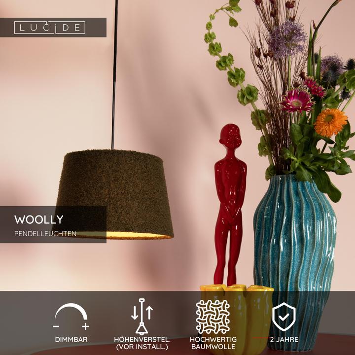 Produktbild Lucide WOOLLY - Pendelleuchten - Ø 28 cm - 1xE27 - Grün 10416/01/33 (E27)