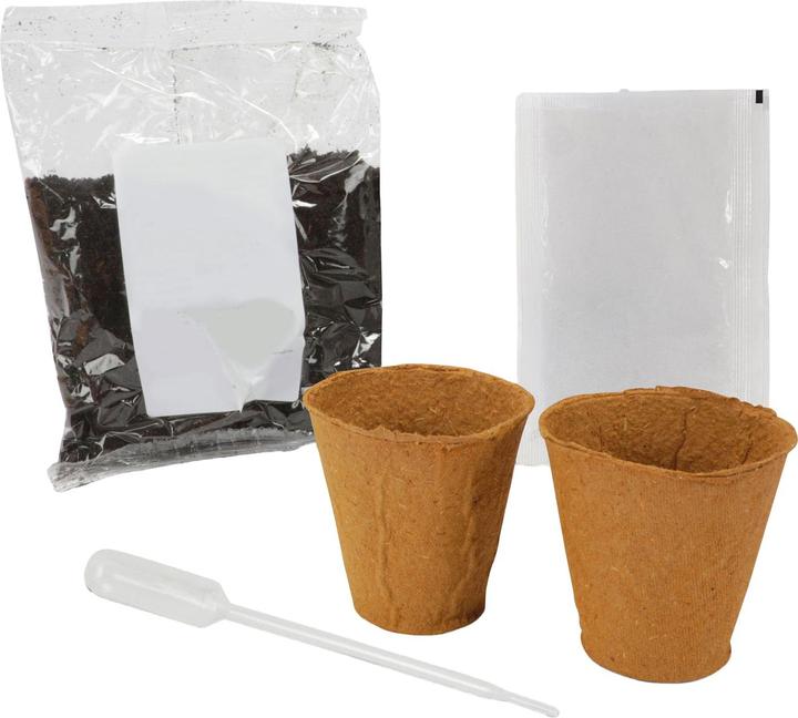 Actual product image Toi-Toys Kidscovery Experiment - Herb Garden Set S