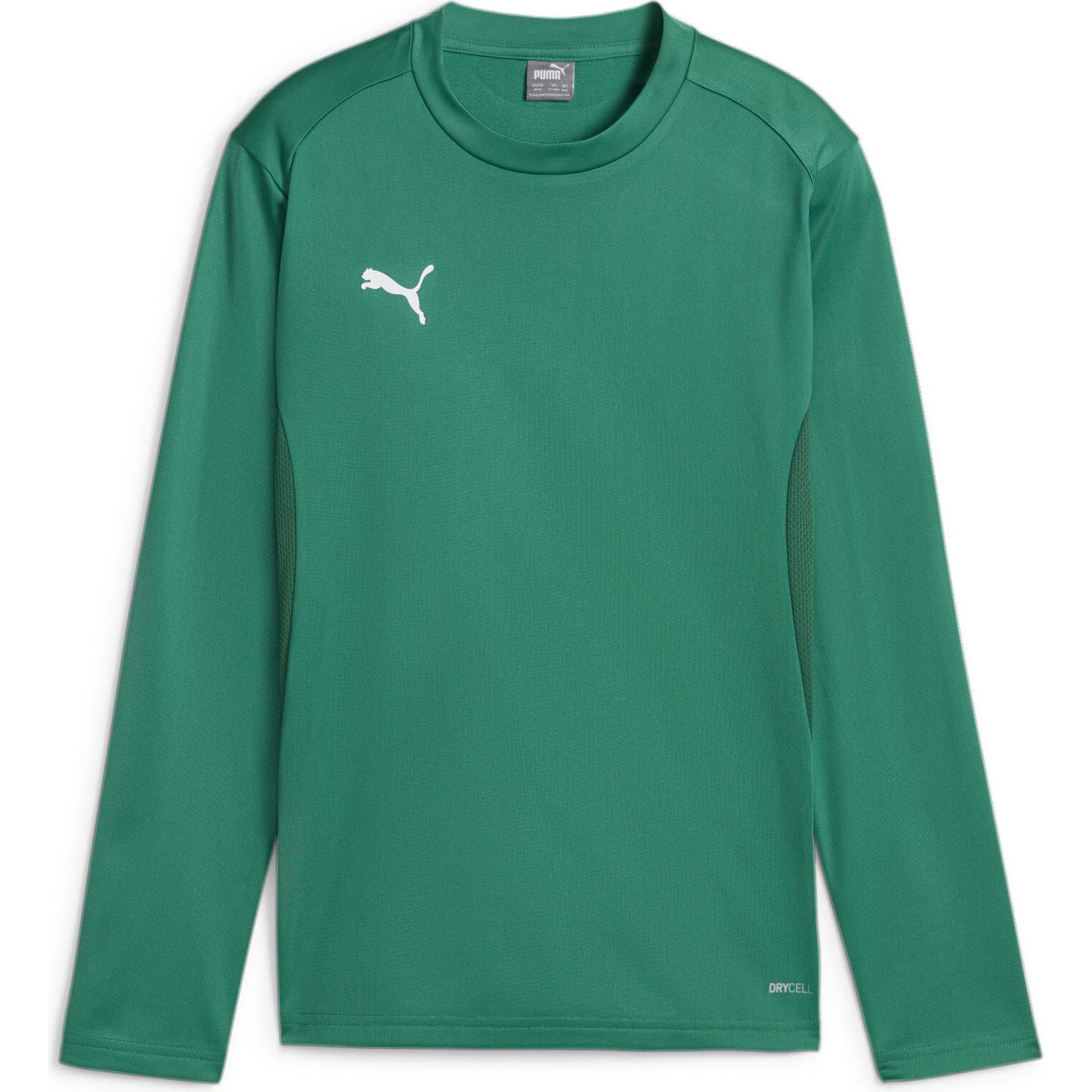 Puma, Jungen, Pullover, teamGOAL Training Sweat Jr, Grün, (116)