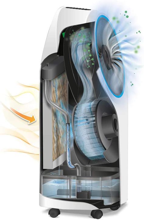 Image du produit De'Longhi EV250 (20 m², 239 BTU/h)