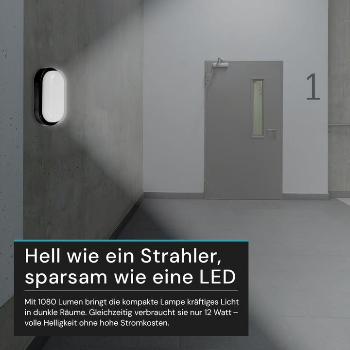 Image du produit Luxula LED-Kellerleuchte, 12W, EEK: F, 1080lm, CCT, IP54, schwarz (1080 lm)