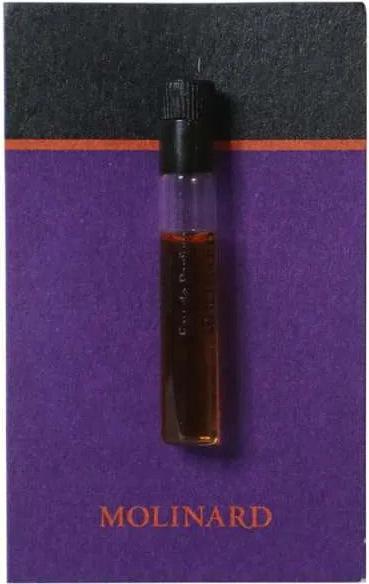 Molinard Les Elements - Patchouli Eau De Parfum For Women 1 Ml Vial (Eau de parfum)