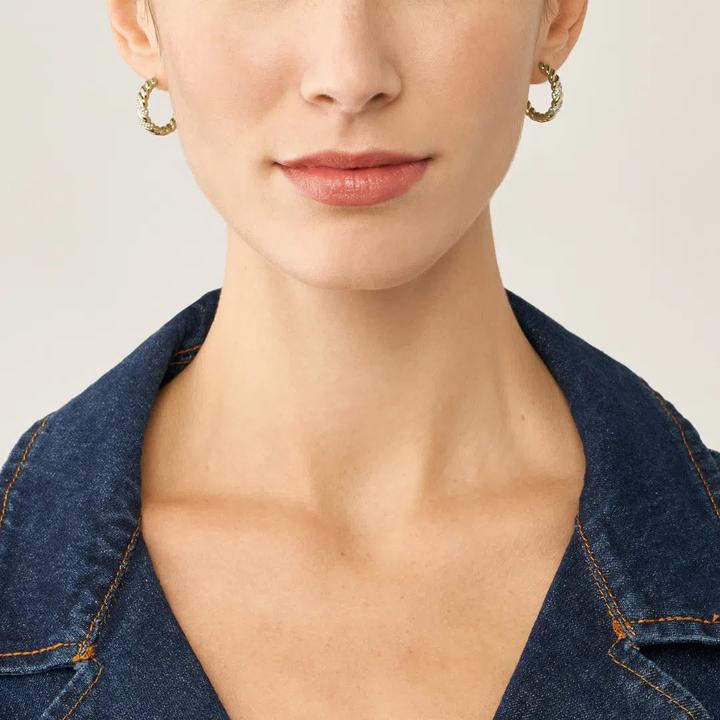 Image du produit Fossil Bijoux Boucles d'oreilles (Acier inoxydable)