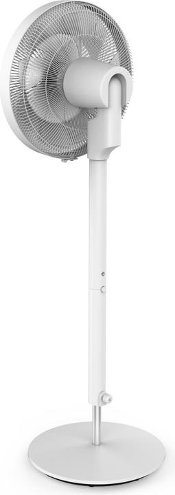 Actual product image Fakir VC 80 DC (55 dB)