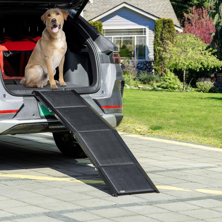 Actual product image PawHut Haustierrampe faltbar mit Griff (Dog, Foldable)