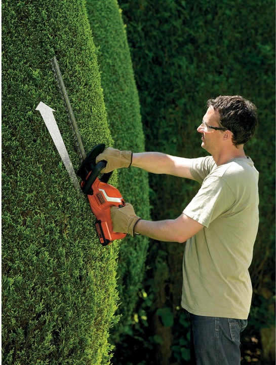 Immagine prodotto Black & Decker Gtc1845l20 (Tagliasiepi a batteria)