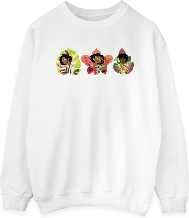 Produktbild Disney Encanto Family Line Sweatshirt (M)