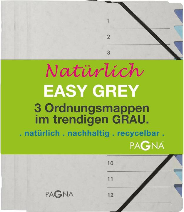 Image du produit Pagna Dossier de classement Easy à 12 compartiments Gris, 3 pièces (3x)