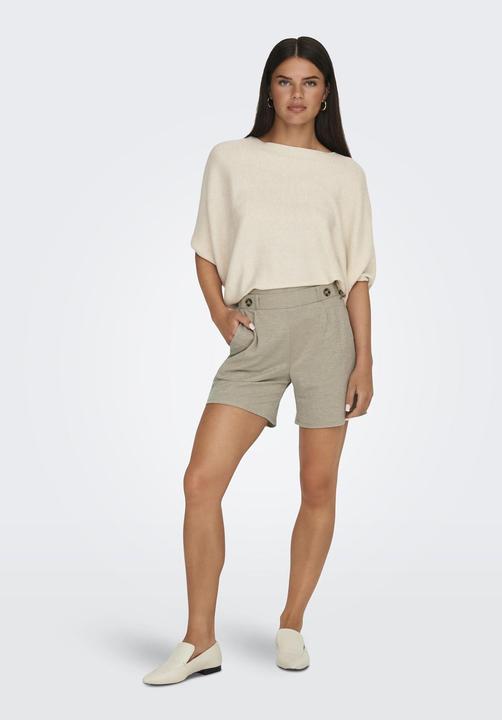 Actual product image JdY Regular fit shorts Shorts (XS)