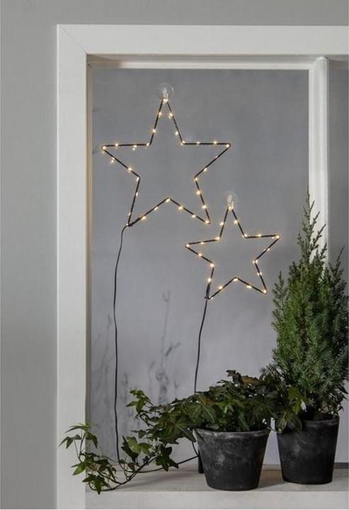 Image du produit Star Trading Stella