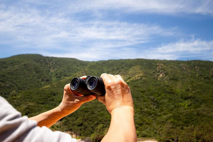 Actual product image Barska AB12802 Binocular Black (8x, 42 mm)