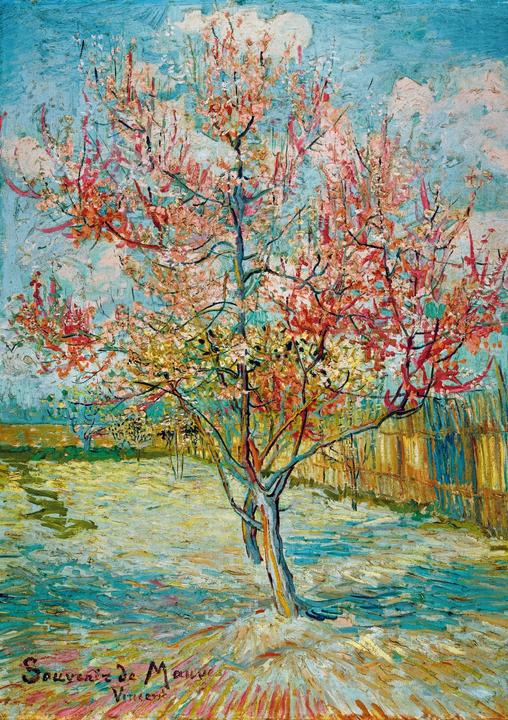 Actual product image Teka Puzzle 1000 pieces Vincent Van Gogh - Pink Peach Trees (Souvenir de Ma (1000 pieces)