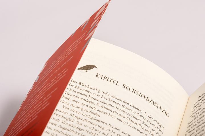 Image du produit Curse of Shadows and Thorns - Geliebt von meinem Feind (Allemand, Lj Andrews, 2024)
