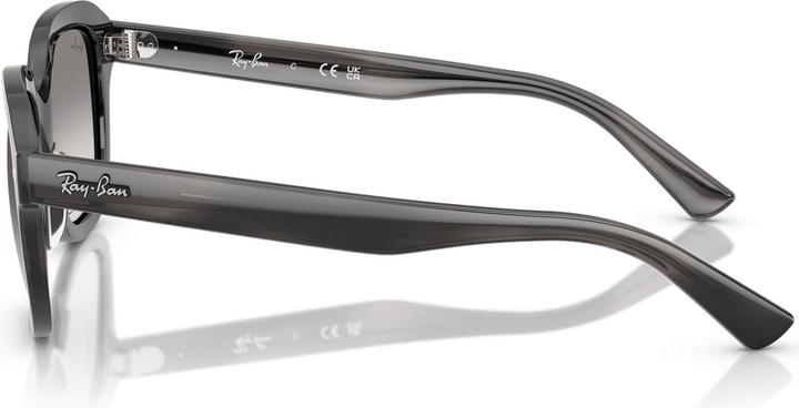 Image du produit Ray Ban Erik