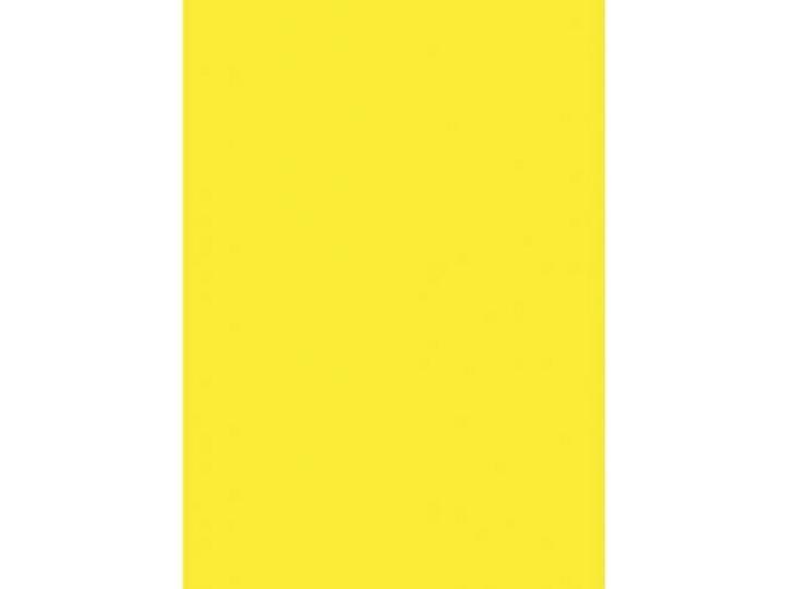 Produktbild Antalis Schilderpapier gelb neon 50x70cm 100 Blatt/Packung 100g - (100 Blatt pro Packung)