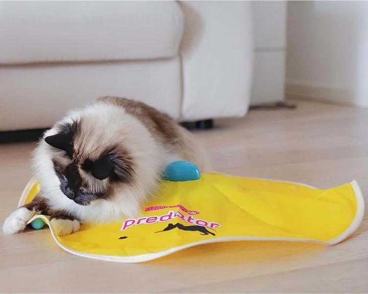Actual product image Ferplast Darren (Catmint toy)