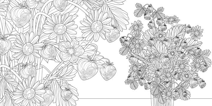 Produktbild Zauberhafte Gärten