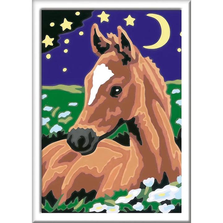 Immagine prodotto Ravensburger Cavalli da studio