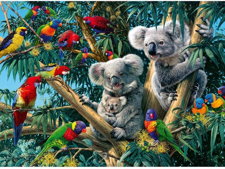 Image du produit Ravensburger Koalas dans l'arbre (500 pièces)