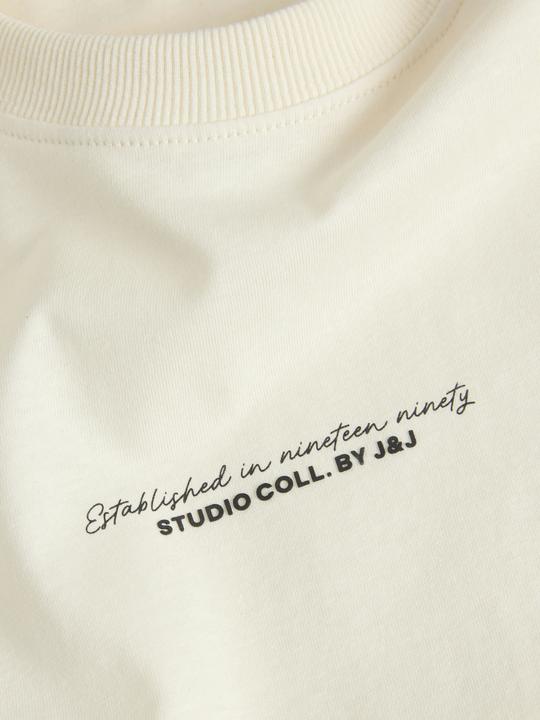 Actual product image Jack & Jones T-Shirt RIKKIE Kurzarmshirt (XL)